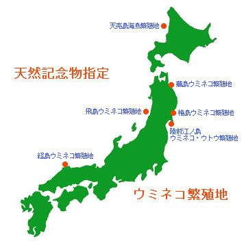 VRLOw̔ɐBn